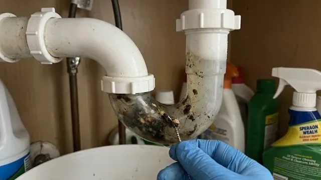 A look at removed clogged sink p trap from a recent drain cleaning schedule visit